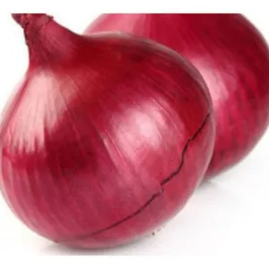 onion big size(payaz bada)