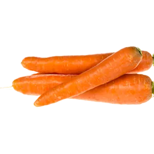 carrot orange(gajar)