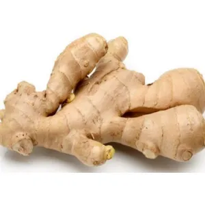 ginger fresh(adrak taza)