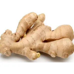 ginger dehydrated(sukha adrak)