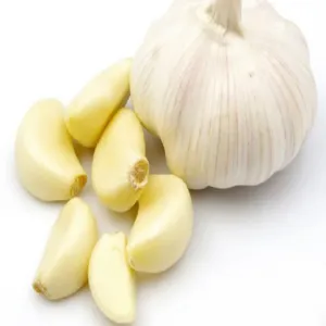 garlic medium size(lehsun)
