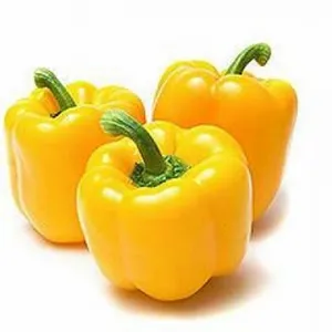 yellow capcicum