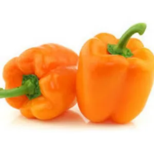 orange capcicum