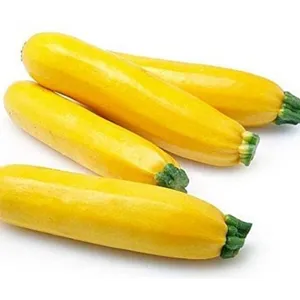 zuccini yellow