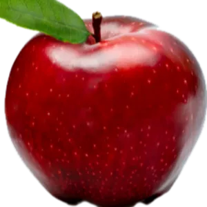 apple regular size 