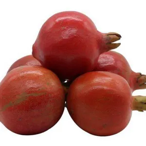 promogranate small size(chota anar)