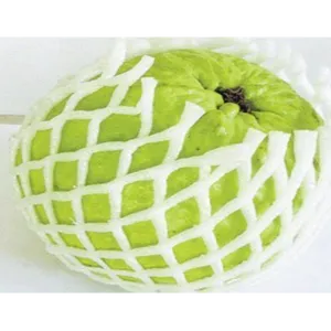 guava thai (amrood)