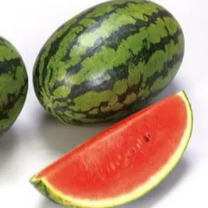 water melon(tarbuj)