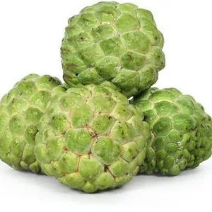 sugar apple (cherimoya)