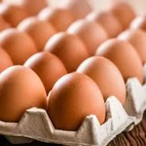 Brown Eggs 12 Units 