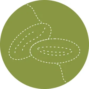 ZAFAMS Premium Dates