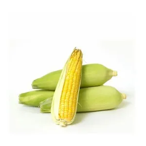 Corn