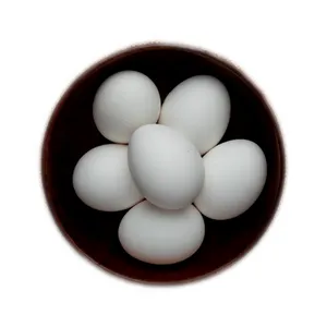 Egg (Loose)- Chiken