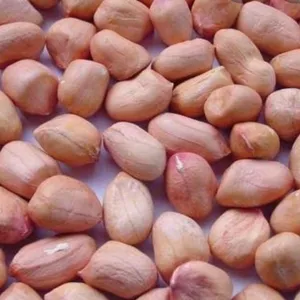 Peanuts వేరుశెనగ గుళ్ళు kg