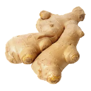 Ginger