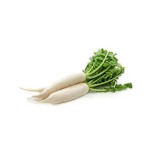 Radish