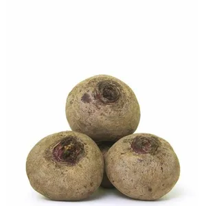 Beetroot