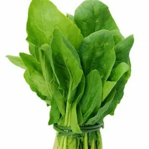 Spinach / Palak (Farm Grade) 500gm