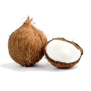 Coconut fresh