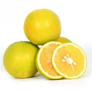 Mosambi