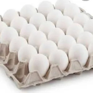 Eggs Tray White