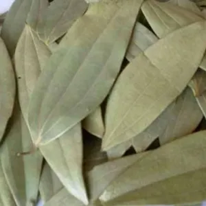 TejPatta 100g