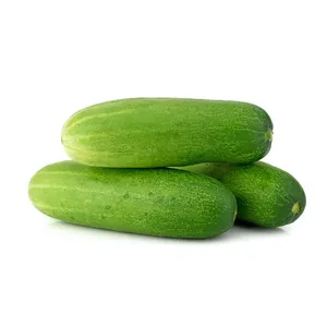 Cucumber