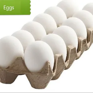 Eag Pack Of 15