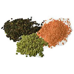 Daal's 