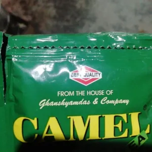 Camel Green ₹10