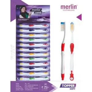 Merlin Toothbrush