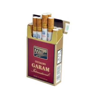 Gudang garam