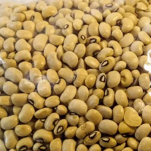 Pulses