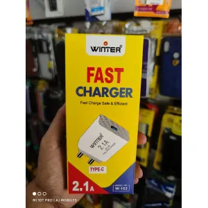 Winter 2.1 Amp Charger