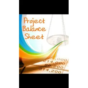 PROJECTED BALANCE SHEET