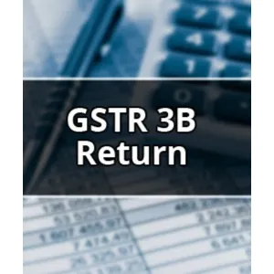 GST 3B RETURN