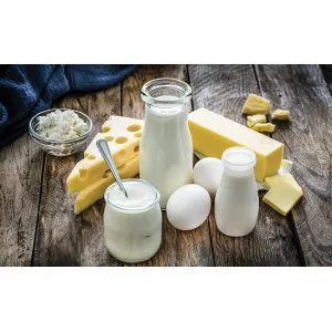 Dairy Products