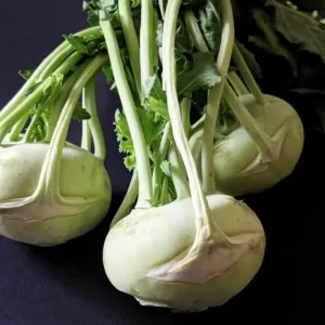 ওলকপি Kohlrabi