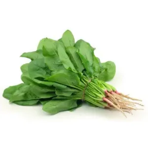 পালং Spinach