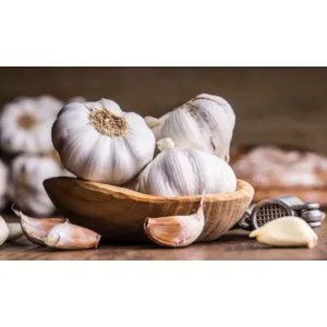 রসুন Garlic