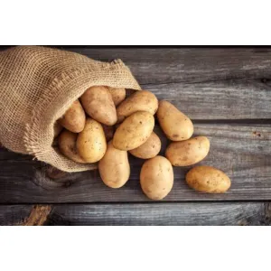 আলু Potato