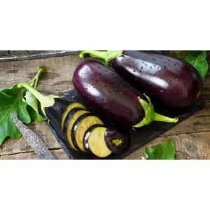 বেগুন Brinjal