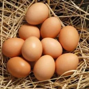 দেশী মুরগীর ডিম
