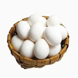 পোল্ট্রি ডিম