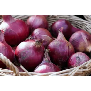 ఉల్లిపాయలు-onions