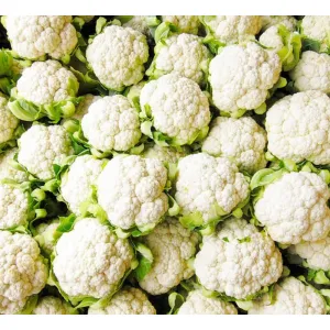 కాలీఫ్లవర్ (Kaliphlavar) -Cauliflower