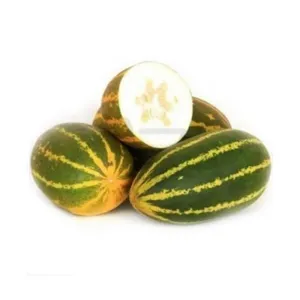 దోసకాయ-cucumber