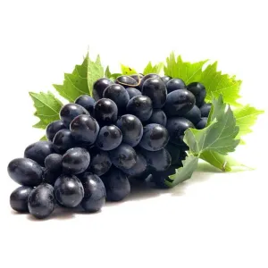 నల్ల ద్రాక్ష -BLACK GRAPES