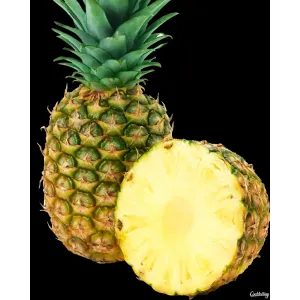 అనాస పండు(పైన్ఆపిల్)-PINE APPLE