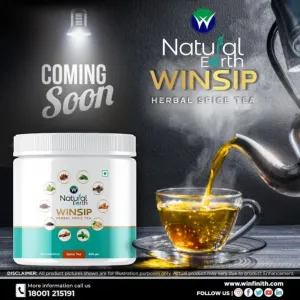NATURAL EARTH WINSIP HERBAL SPICED TEA (300gm) 